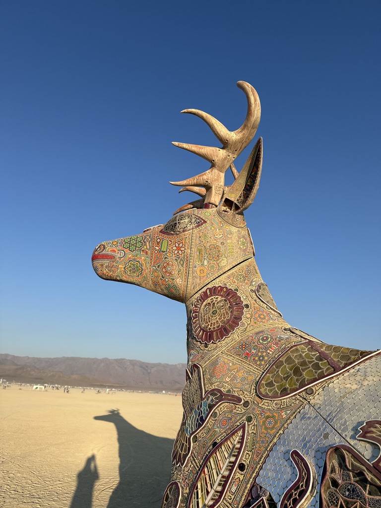 Five Lessons from Burning Man