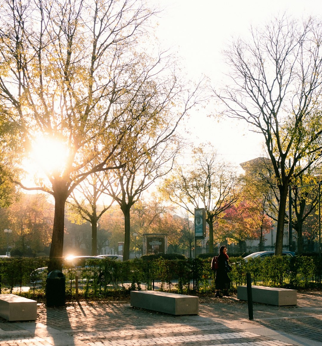 A person riding a skateboard down a street
