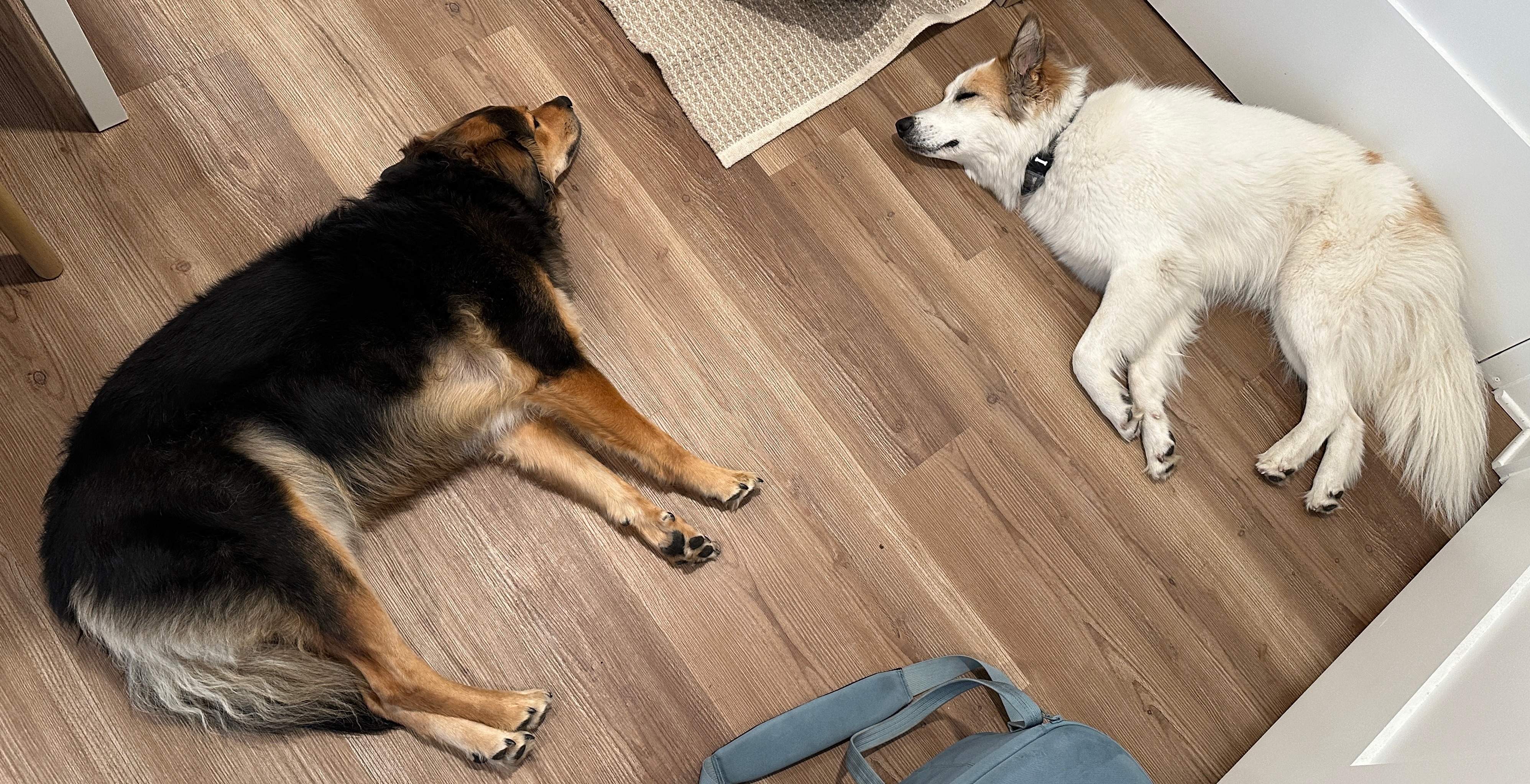 My Book on Punctuality(!)