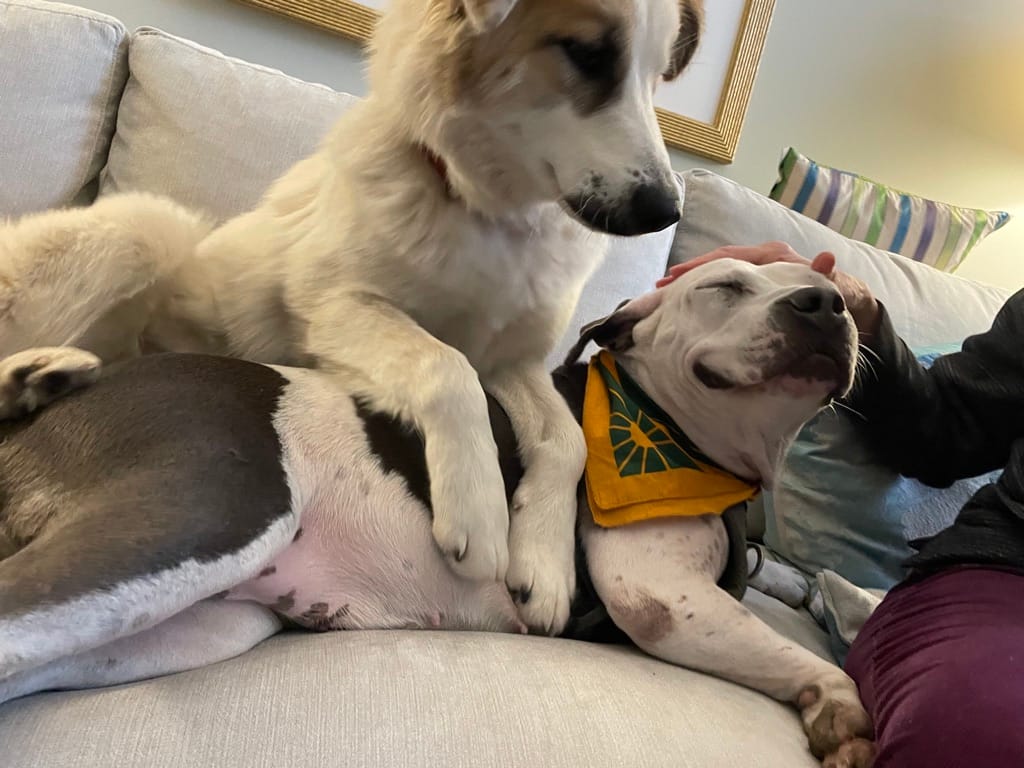 Let's never say "Beltway Bandits" again