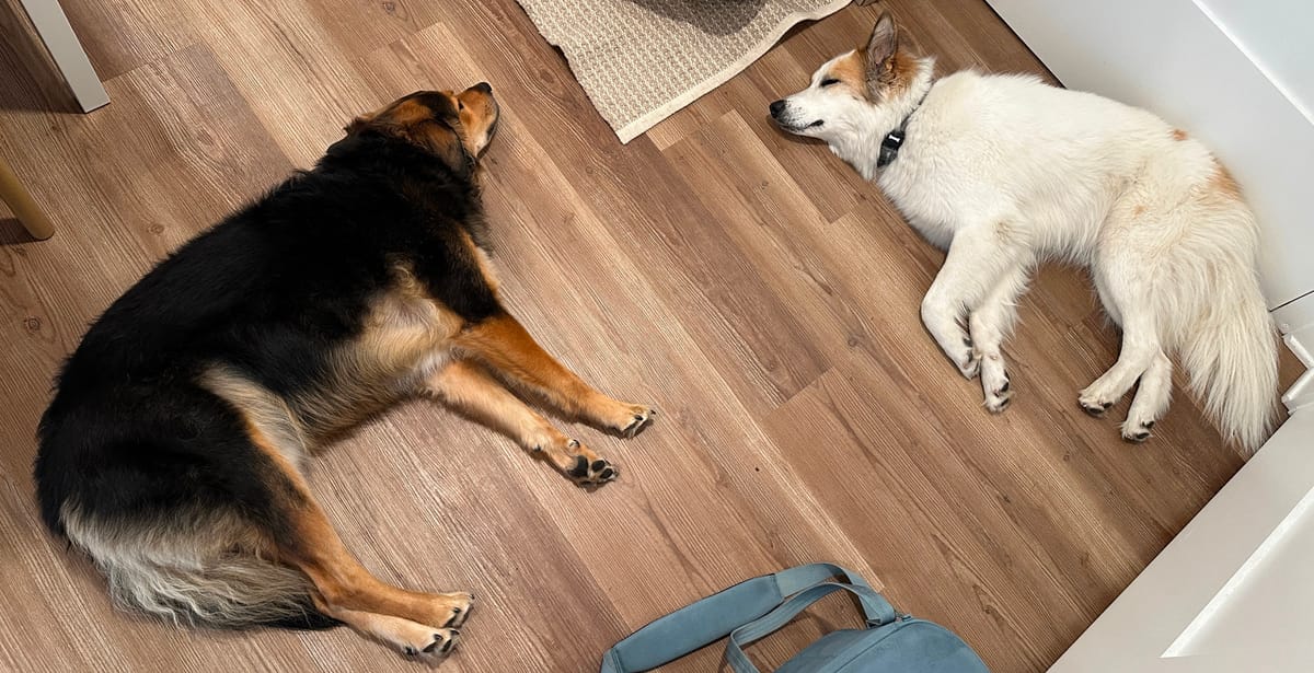 My Book on Punctuality(!)