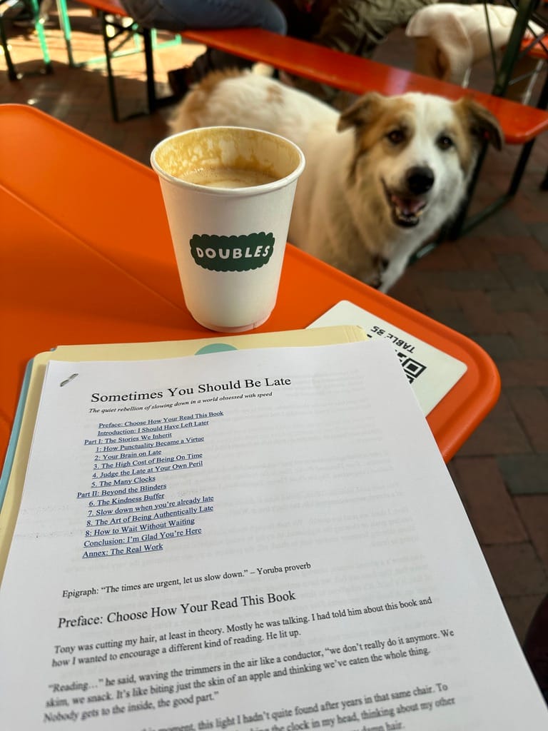 Book Update! First Draft Done 🎉