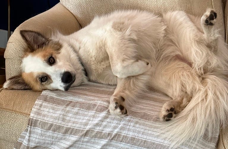 Do Your Job *by* Taking Breaks