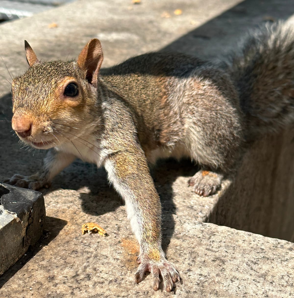 A Fun Read: Lead Together