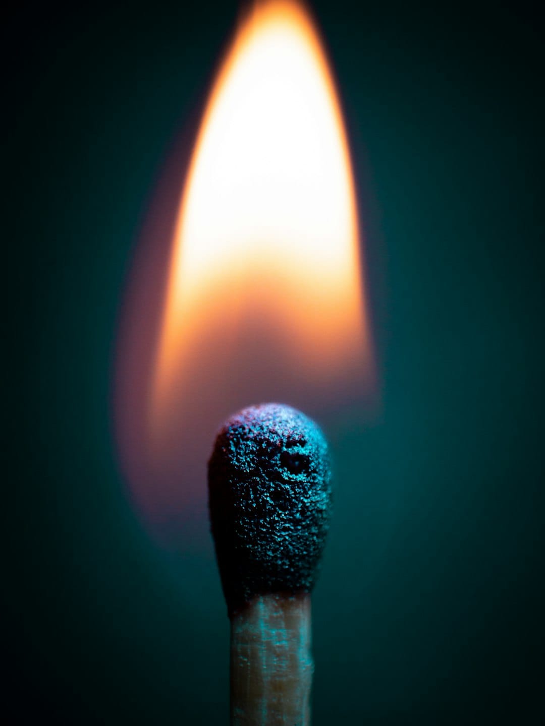 What It Feels Like to Burn a Thousand Dollars