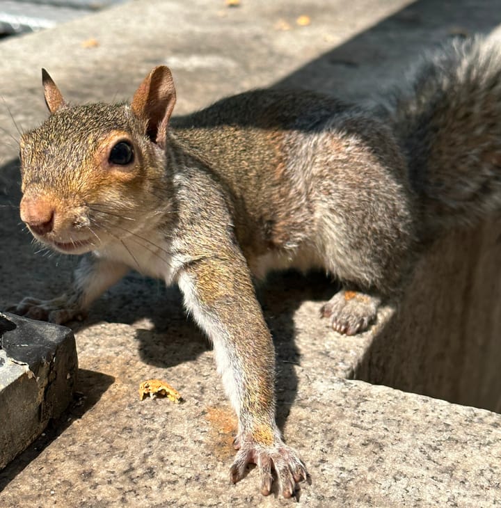 A Fun Read: Lead Together