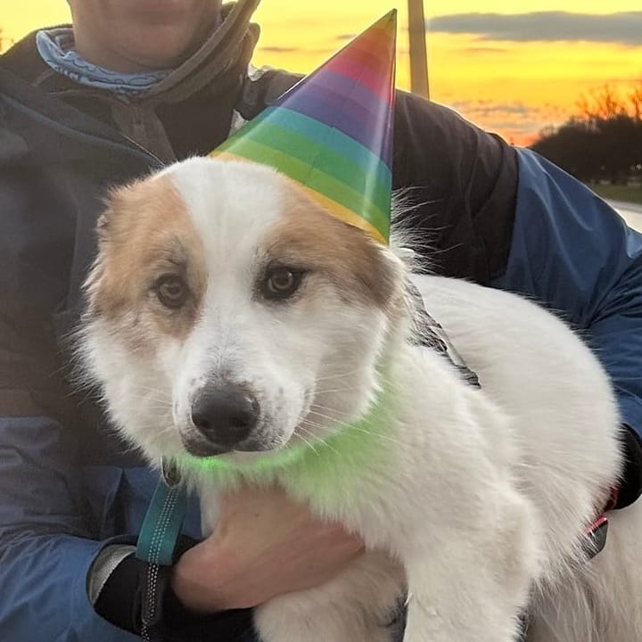 Don't Tell Me Happy Birthday